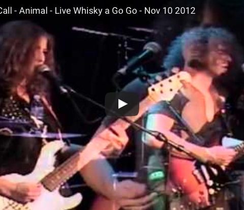 Screenshot 2016-06-01 13.02.19