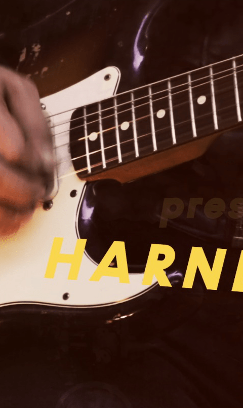 presentsharnessscreen