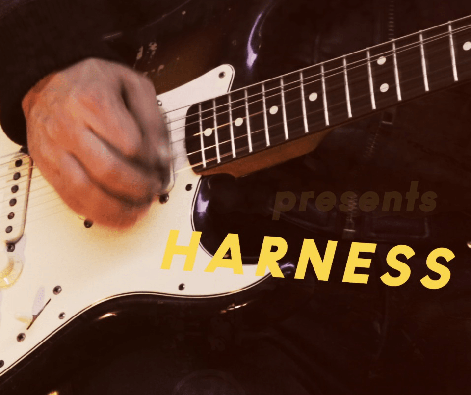 presentsharnessscreen